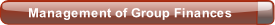 Management of Group Finances.